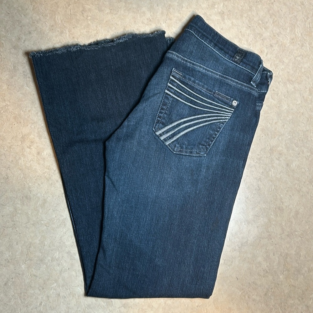 Women’s Seven for All Mankind Dojo Jeans, Size 25